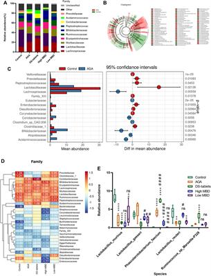 Modified Baihu decoction therapeutically remodels gut microbiota to inhibit acute gouty arthritis